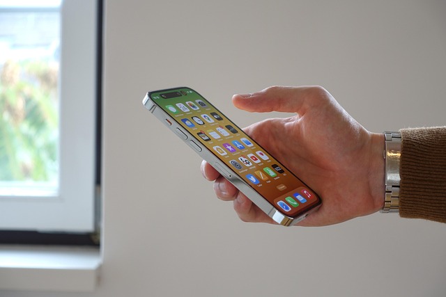 person holding an iphone